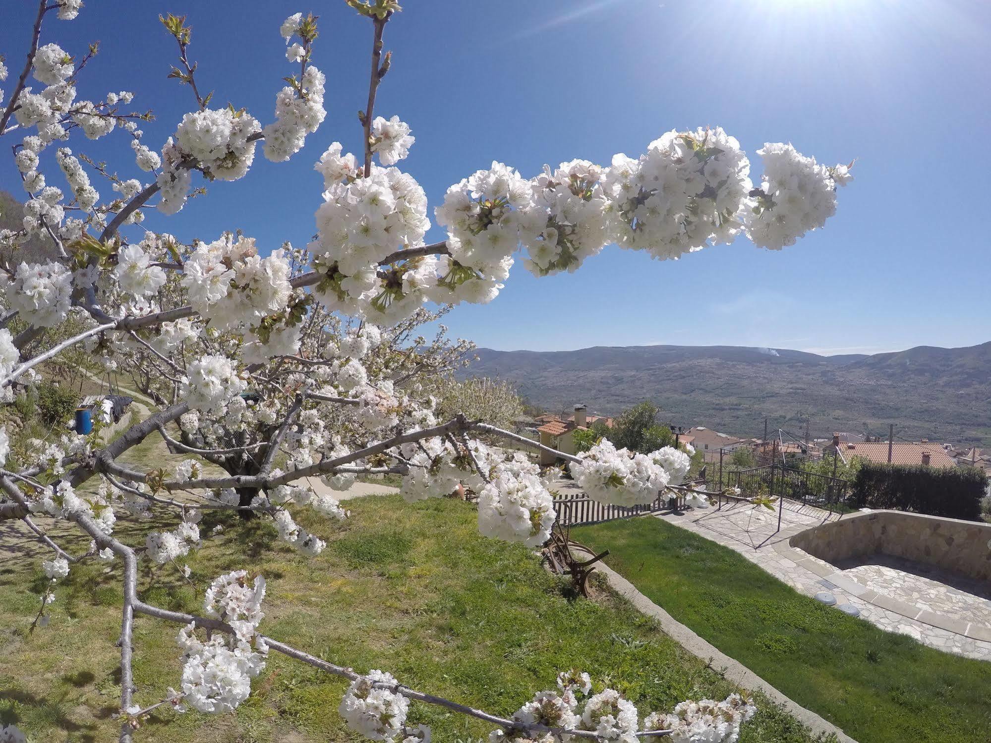 El Regajo Valle Del Jerte Country house